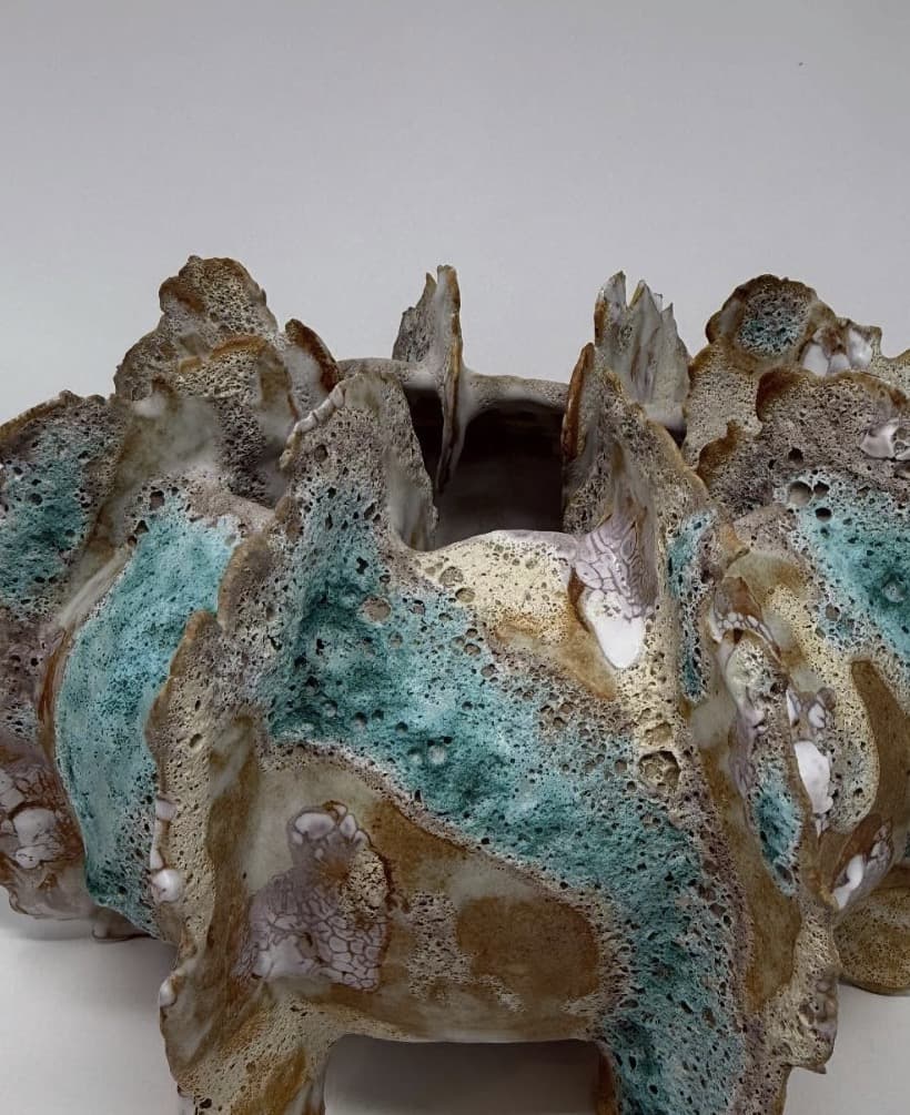 Sea Urchin β view 2